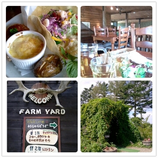 PhotoGrid_1348454782044.jpg